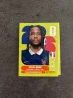 Panini Sticker FRA 14, Frankreich WM 2026