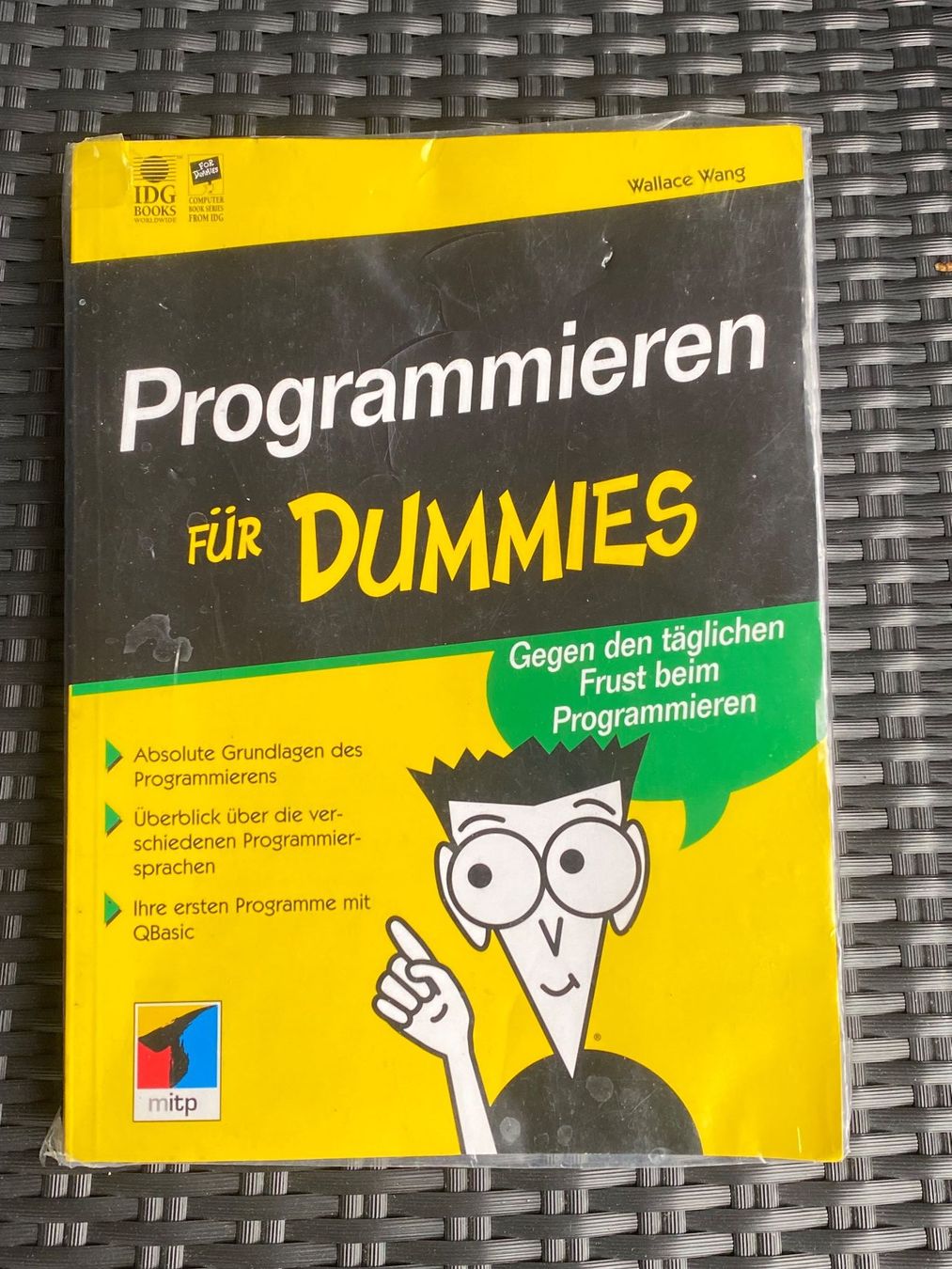 Libri: Programmieren für Dummies – Usato da Kreuzlingen venduto da don_ueli6wb5