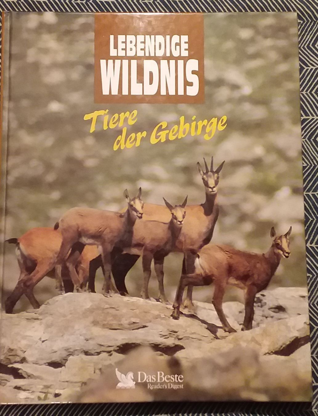Livres: Lebendige Wildnis - 3 Bücher - Reader's Digest – D'occasion à Hunzenschwil par rotebaer 1