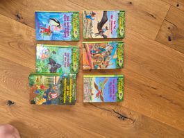 Das magische Baumhaus - Kinderbücher 6er Set guter Zustand