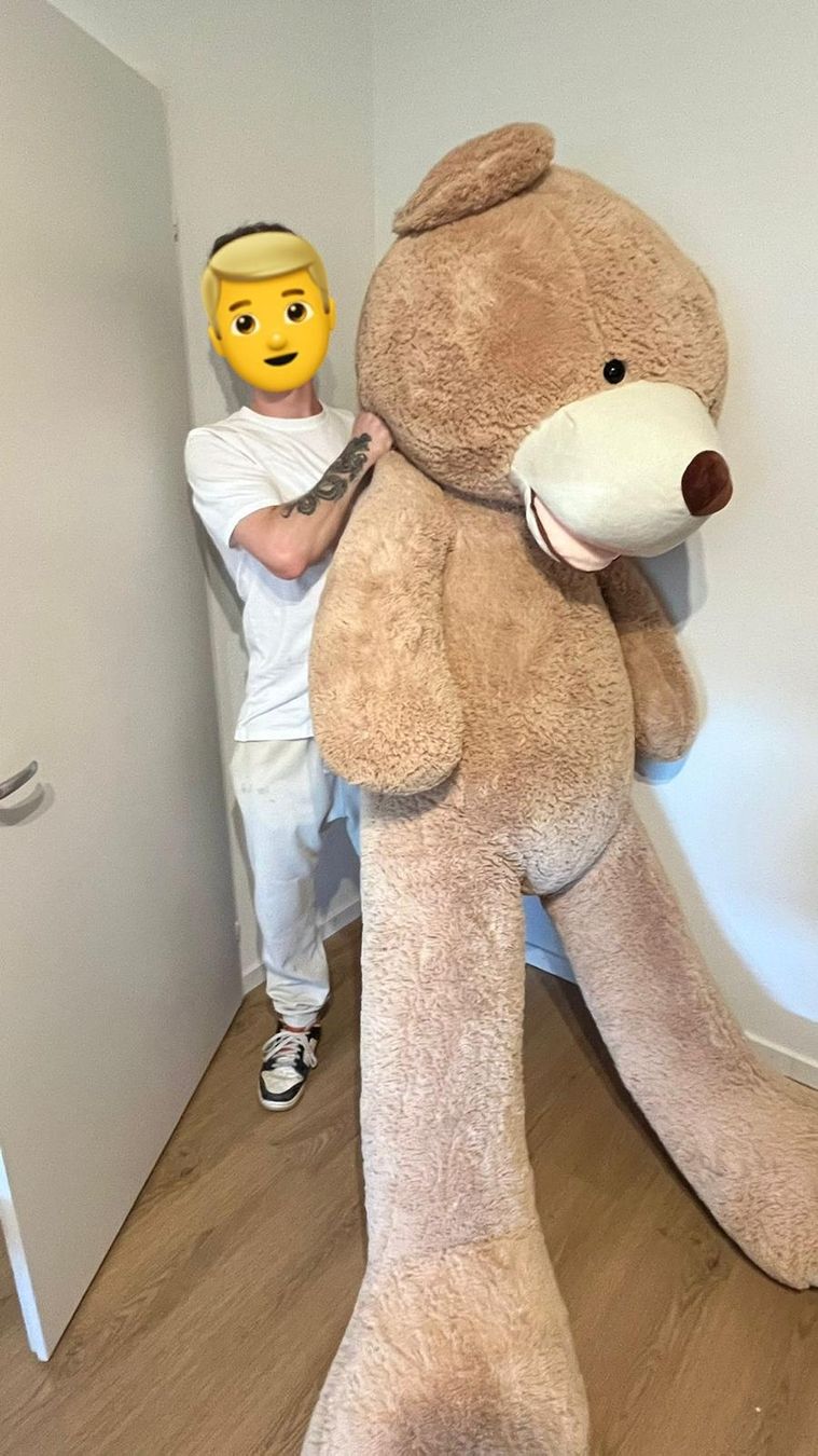Giocattoli: Riesen Teddybär – Usato da Beringen venduto da Horsts_Garage 1