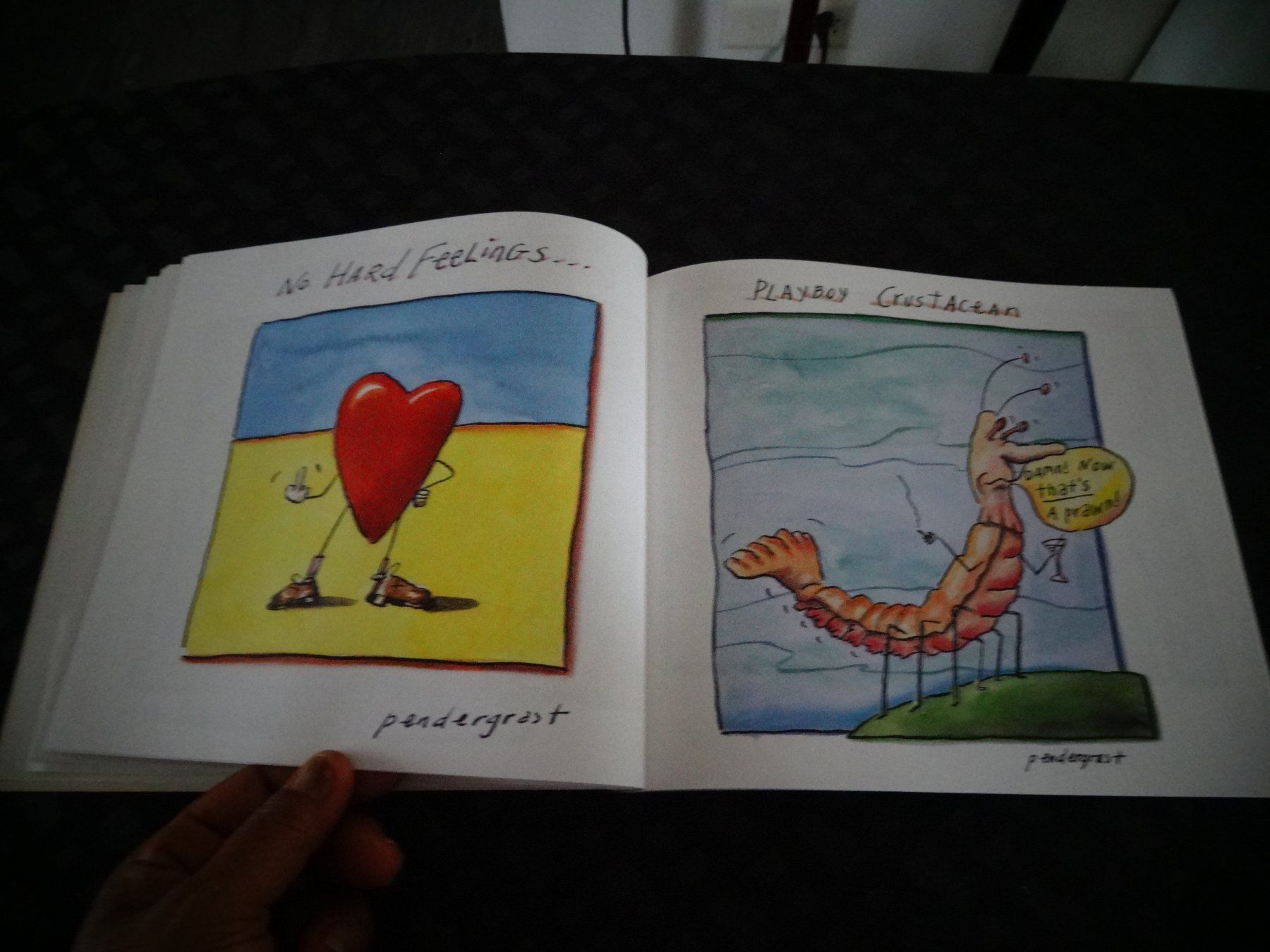 Libri: My Foolish Heart – Usato da Neerach venduto da jenny062 7