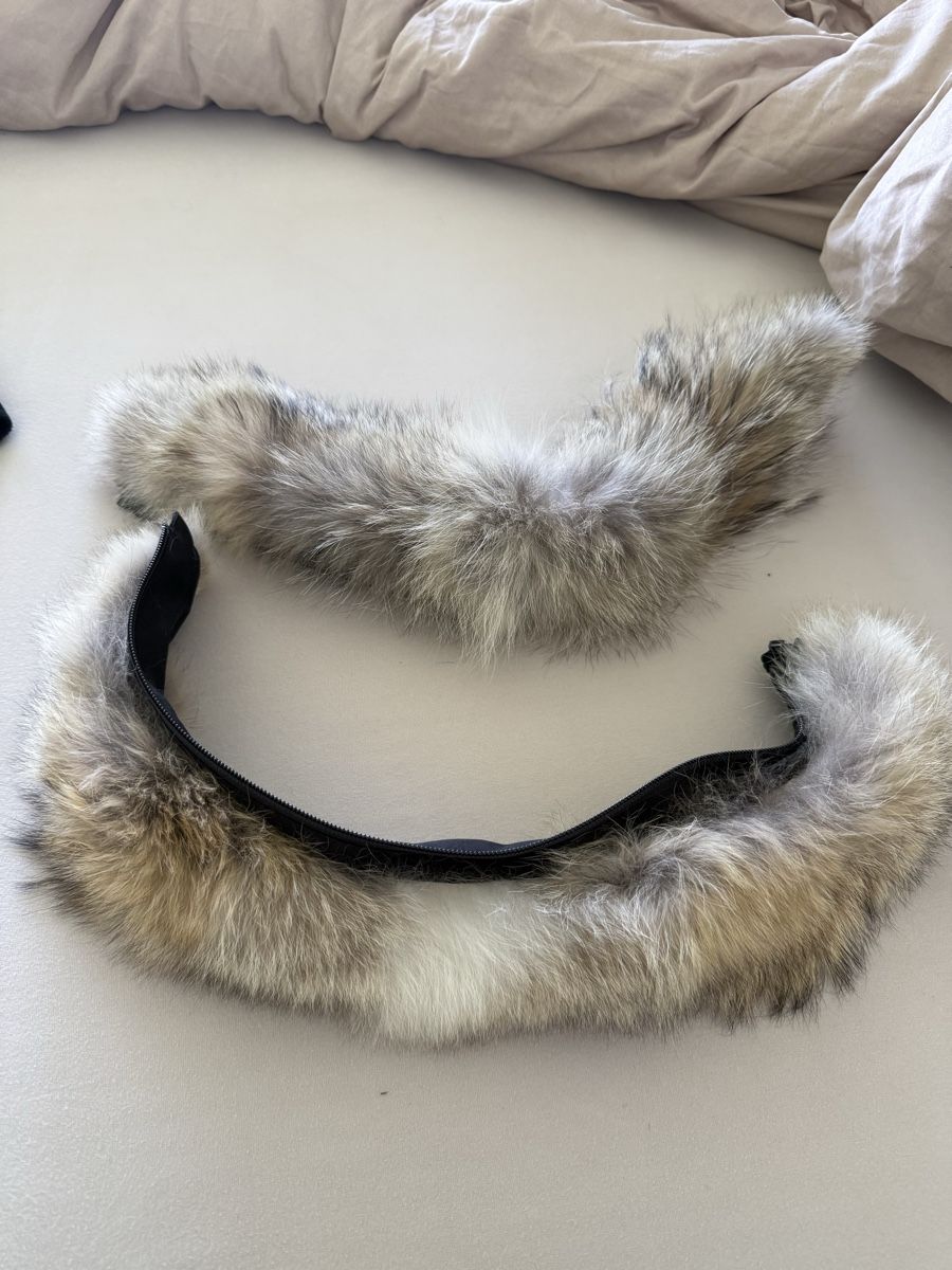 Kleider: Zwei Echtpelz Kragen Canada Goose Neu – Neu (gemäss Beschreibung) aus Zürich von Sburki