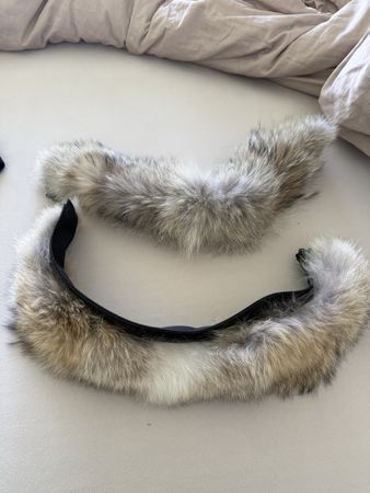 Zwei Echtpelz Kragen Canada Goose Neu