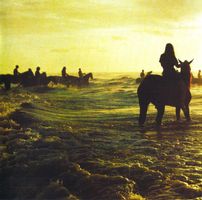 Foals – Holy Fire  NEUF/OVP
