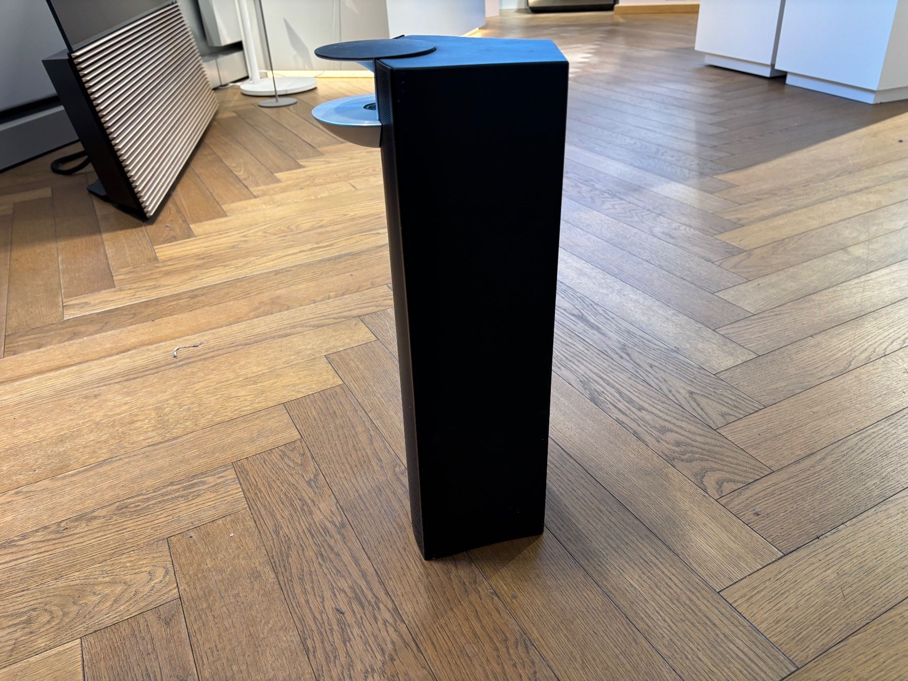 Bang & Olufsen Casse acustiche: Haut-parleur Beolab 7-4 – Usato da Sion venduto da Bang-OlufsenSion 1