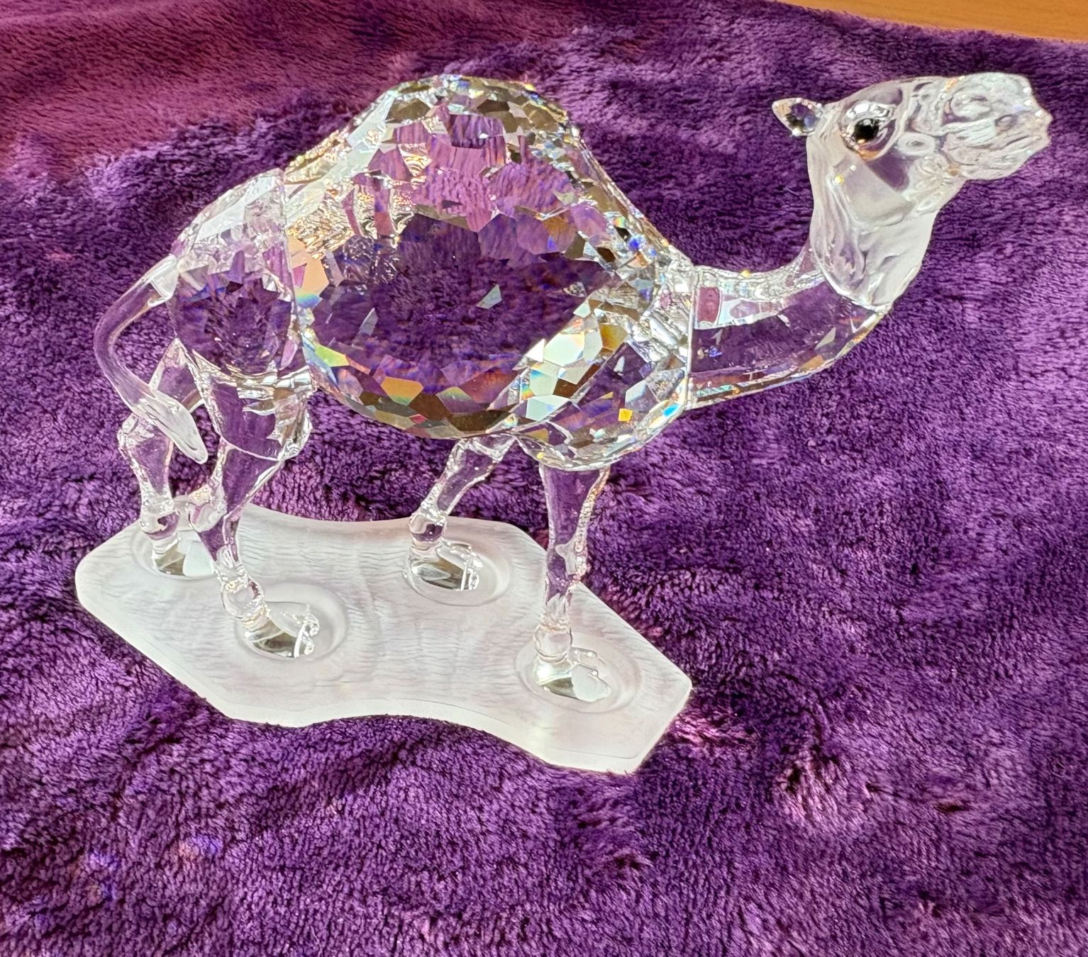 Swarovski Figuren: Swarovski Figur Kamel – Gebraucht aus Oberflachs von raka09 2