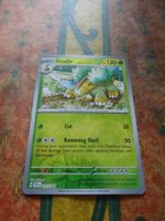 POKEMON  Grotle   H  TEF EN   011/162   HP120   2024