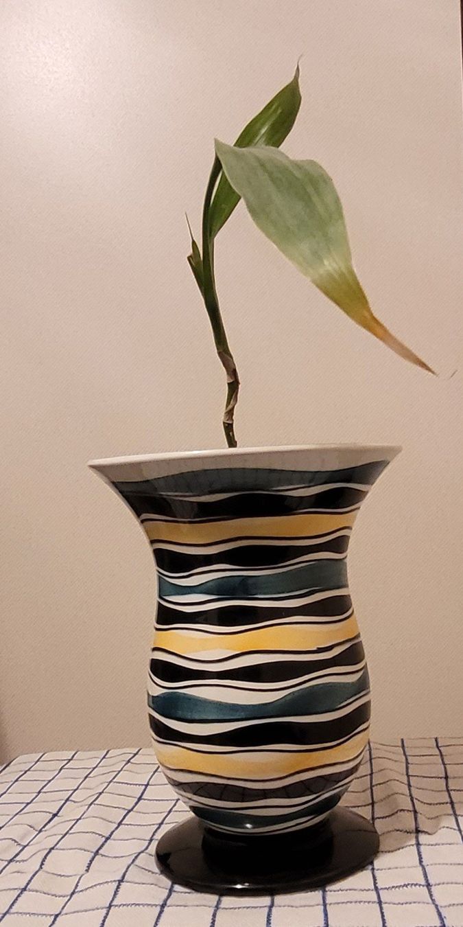 Vasi & Recipienti: Keramikblumenvase – Usato da Zürich venduto da Avd 6