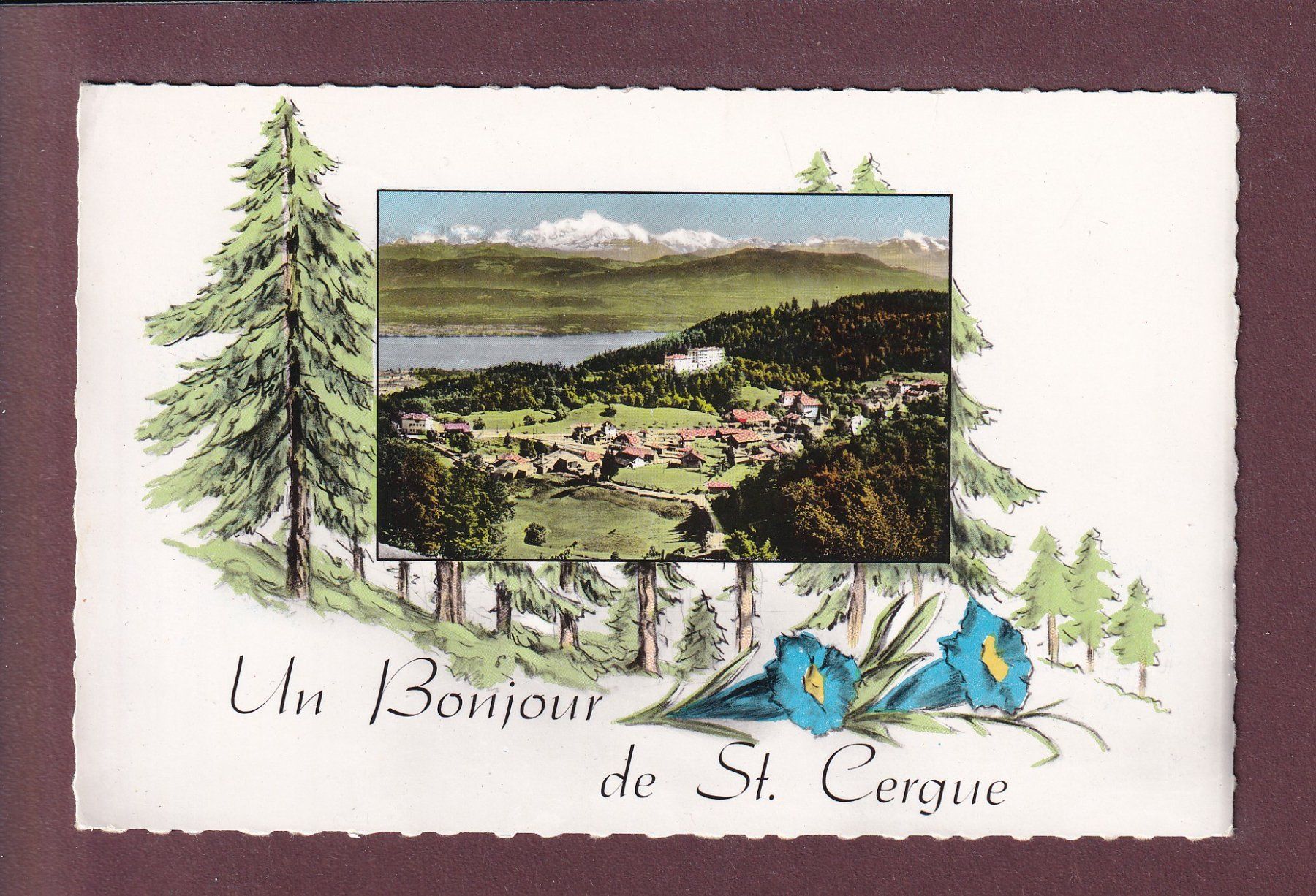 Ansichtskarten: Un bonjour de ST. CERGUE - 1964 – Gebraucht aus Pully von nicecards