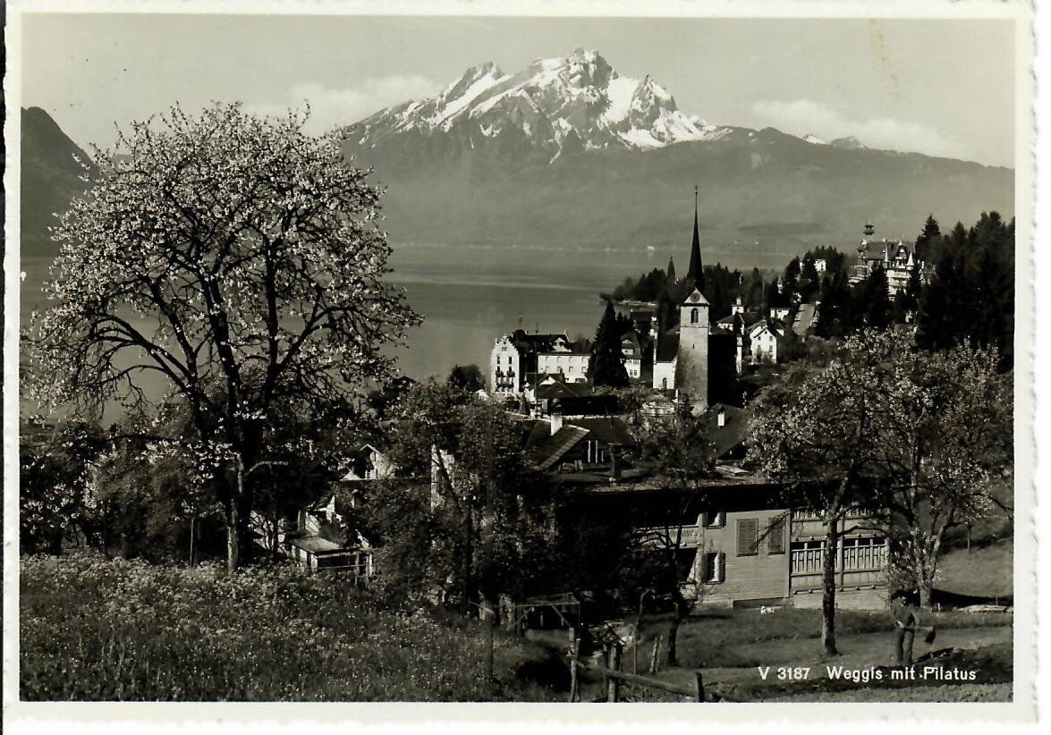 Cartoline postali: Weggis – Usato da Hochdorf venduto da Ziegel-16