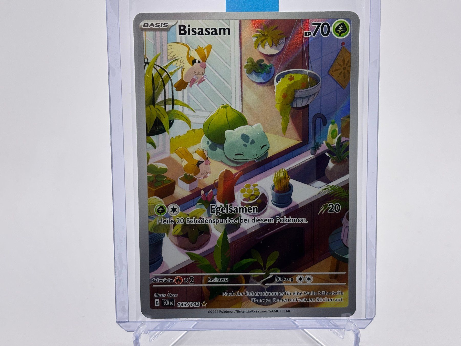 Pokémon Carte collezionabili: Stellarkrone - Bisasam  (SCR 143) - DE – Nuovo (secondo la descrizione) da Allschwil venduto da Bullach