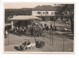 ZÜRICH Restaurant Zoologischer Garten