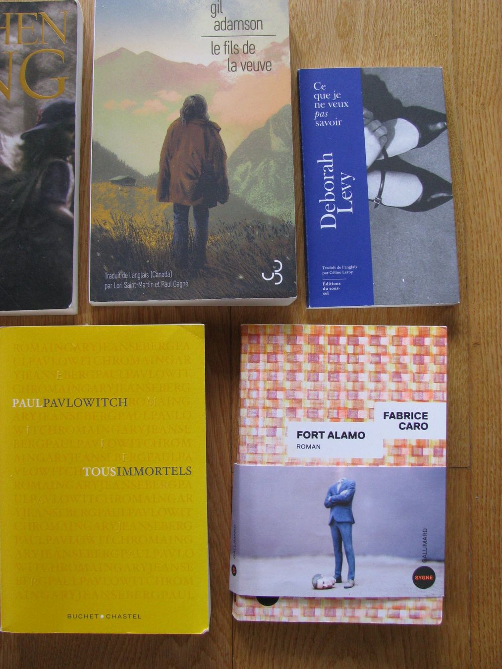 Libri: Lot de 8 romans : S.King, J.Deck, Pavlowitch, etc.... – Usato da Zweisimmen venduto da Domii 2