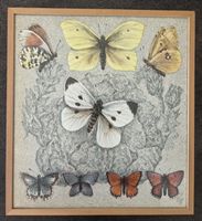 Diggelmann Alex Walter Lithographie signiert, Kunst, Bild
