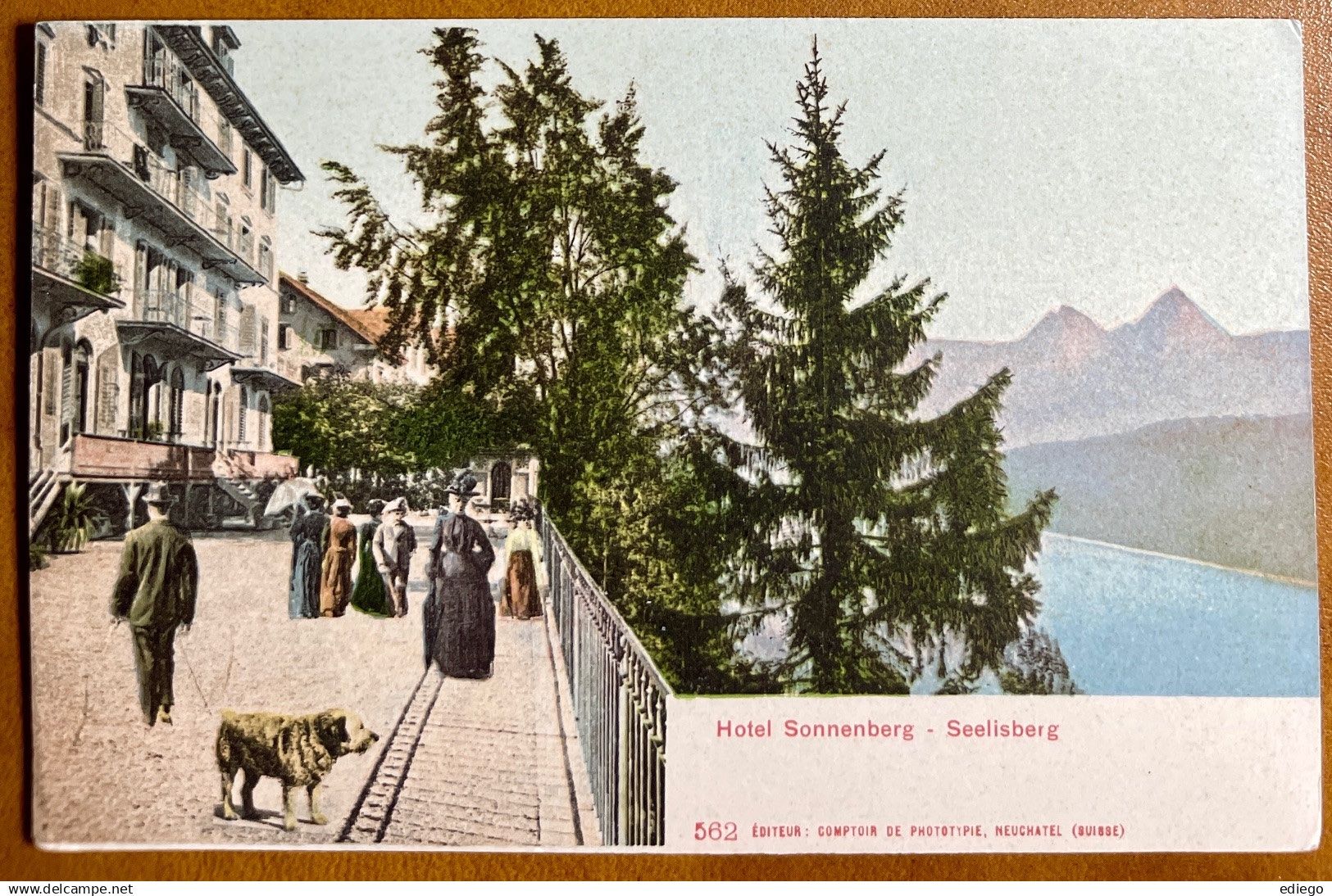 Ansichtskarten: AK: Seelisberg - Hotel Sonnenberg - Animation – Gebraucht aus Lutry von Ediego