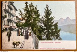 AK: Seelisberg - Hotel Sonnenberg - Animation
