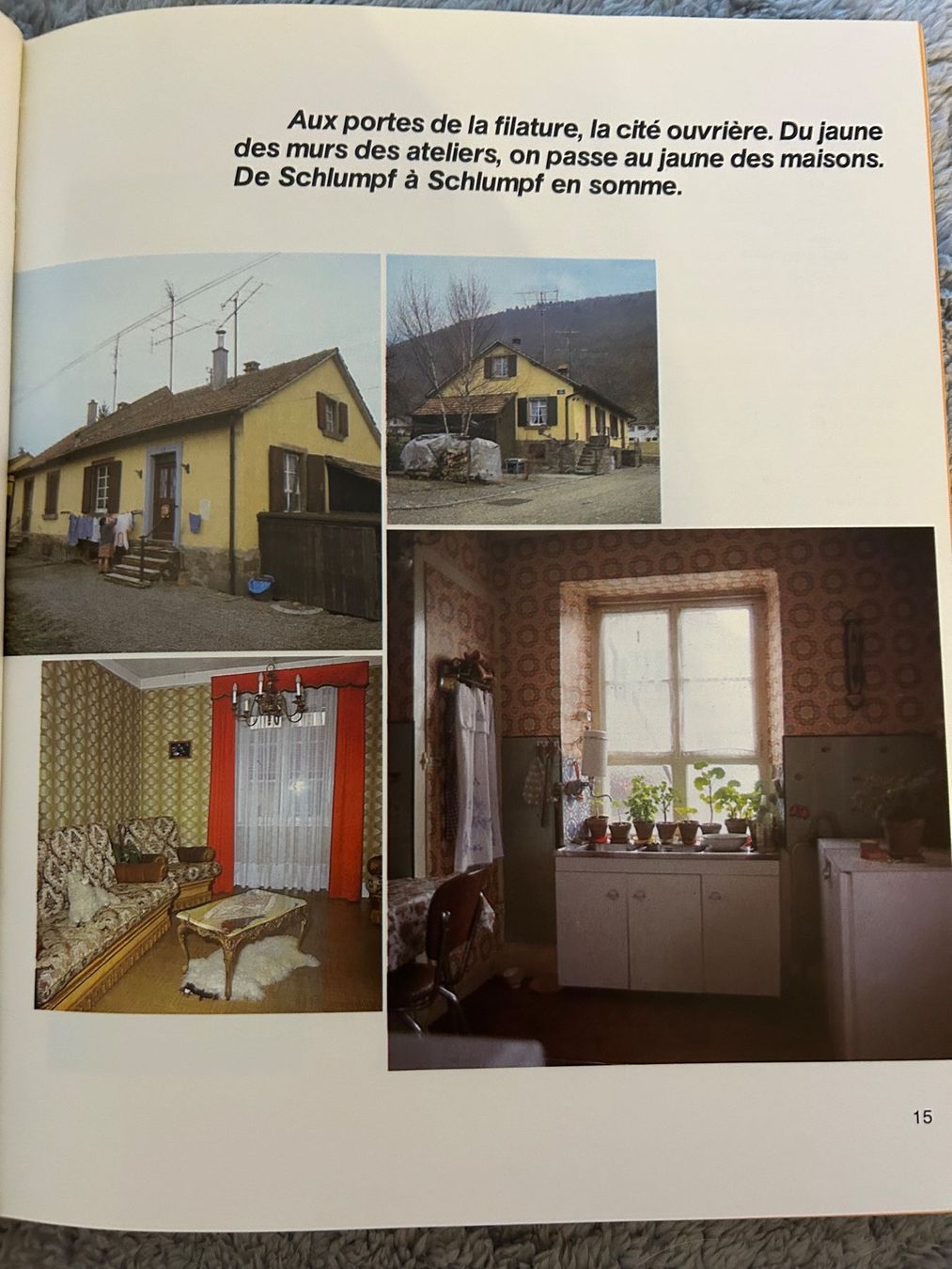 Libri: L'AFFAIRE SCHLUMPF – Usato da Genève venduto da zonzon9351 2