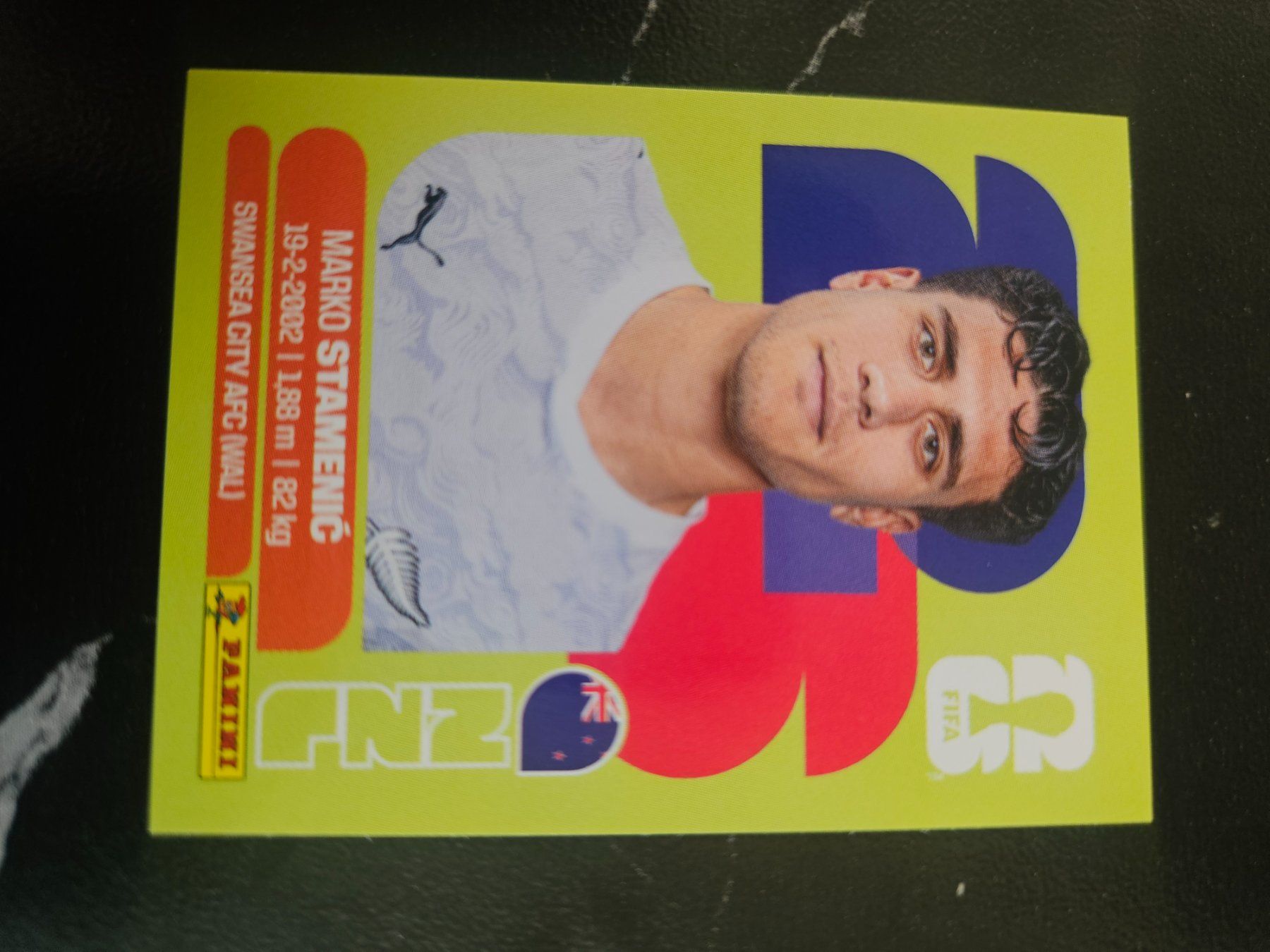Panini Carte collezionabili: NZL 15 – Usato da Würenlingen venduto da Dinli