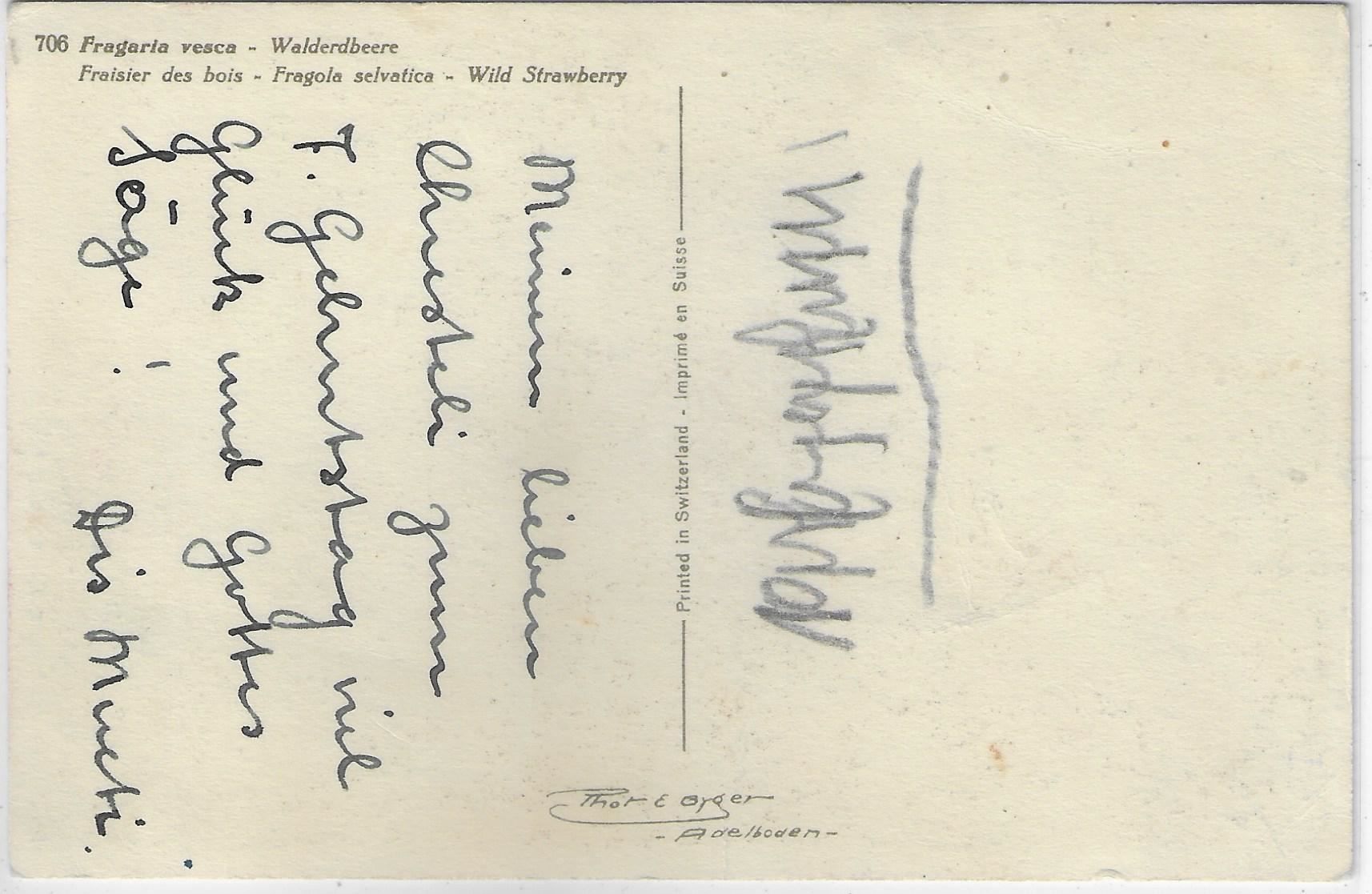 Cartoline postali: Walderdbeere - Fraisier des bois – Usato da Ettingen venduto da Kartenplanet 1