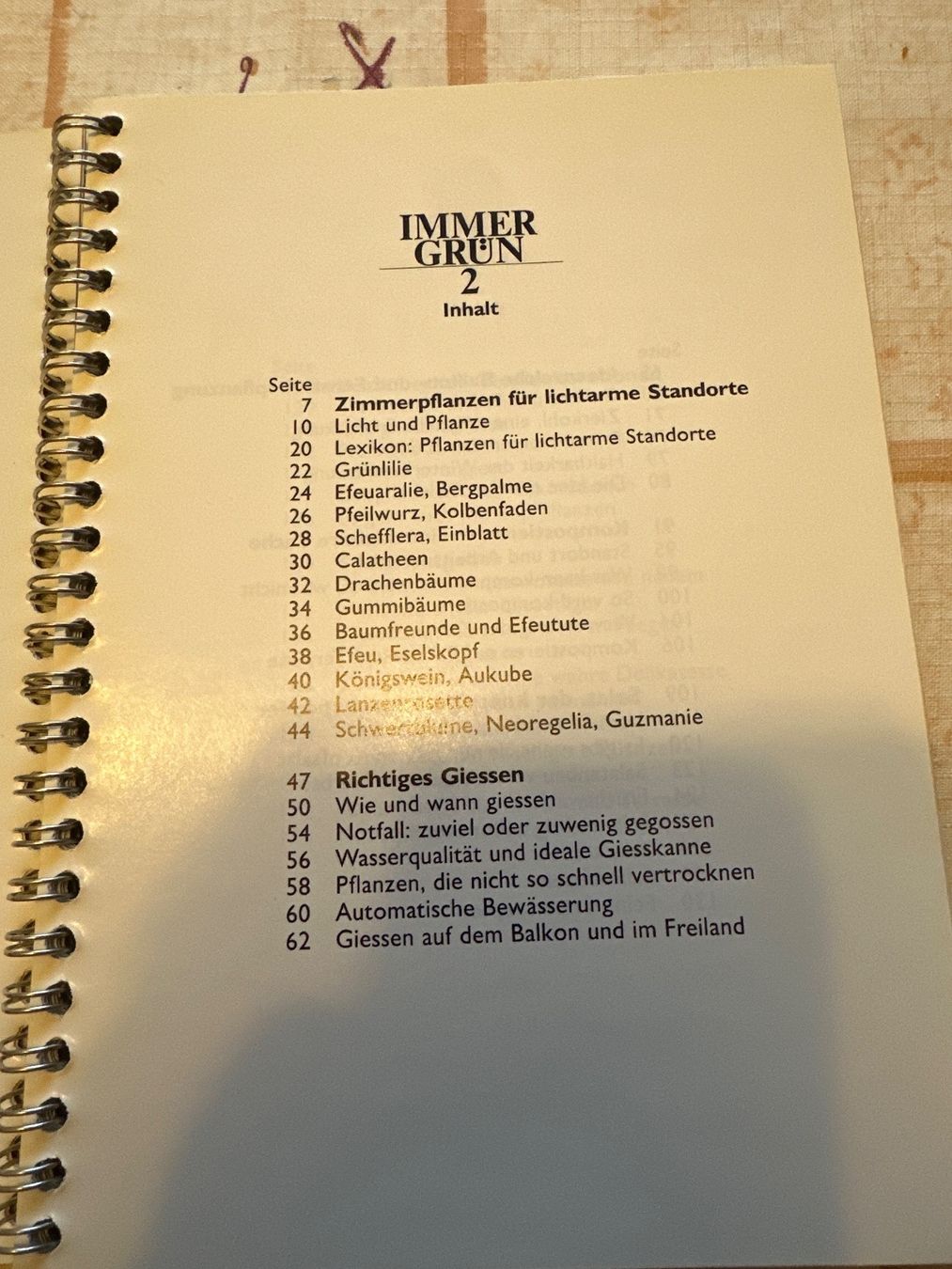 Libri: Betty Bossi - Immer Grün 2 – Usato da Schaffhausen venduto da D-MAC 1