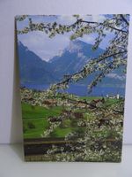 Postkarte SBB Werbekarte Spiez am Thunersee.