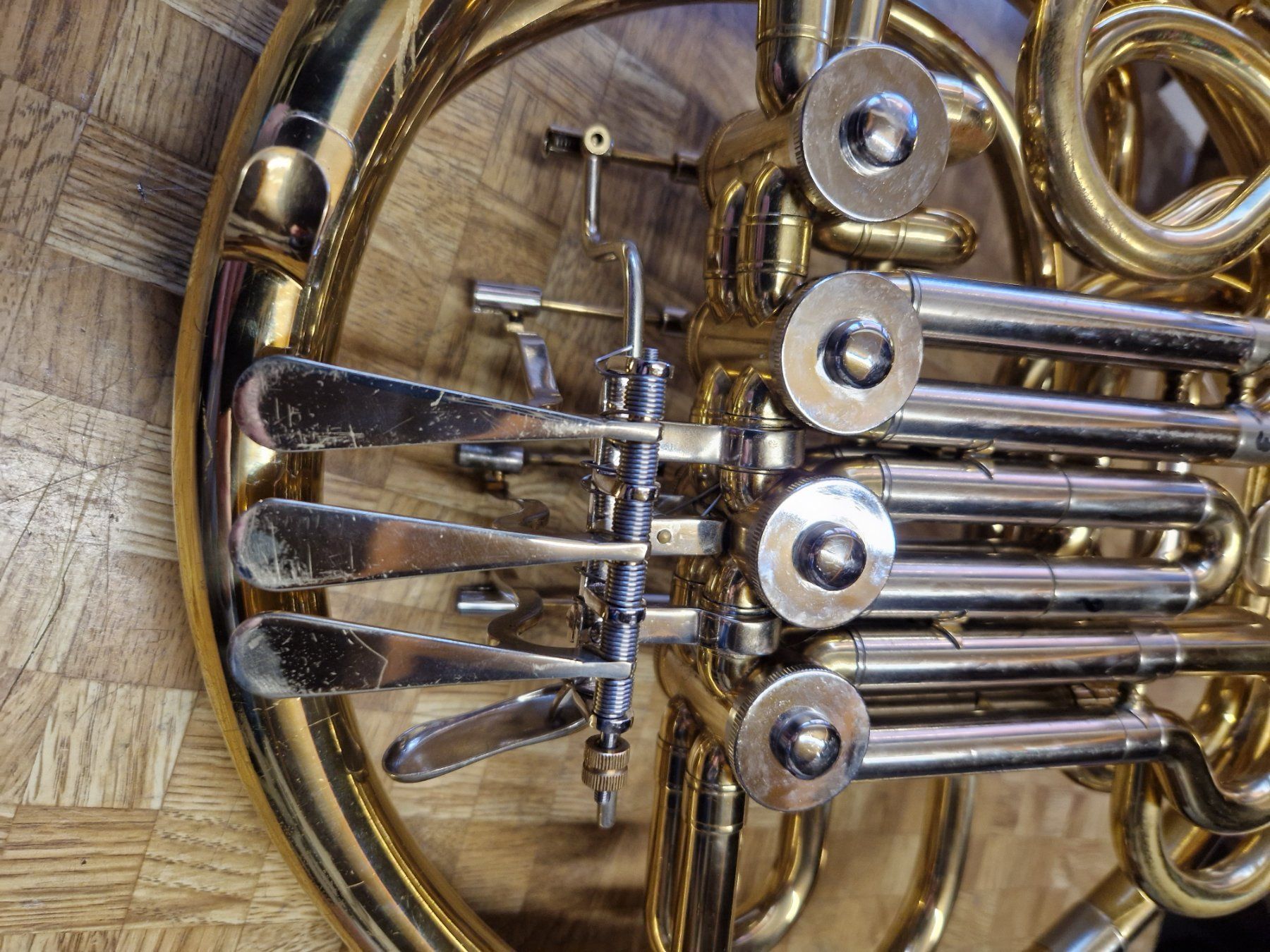 Strumenti musicali: Cor double – Usato da Troistorrents venduto da Tutuj8 1