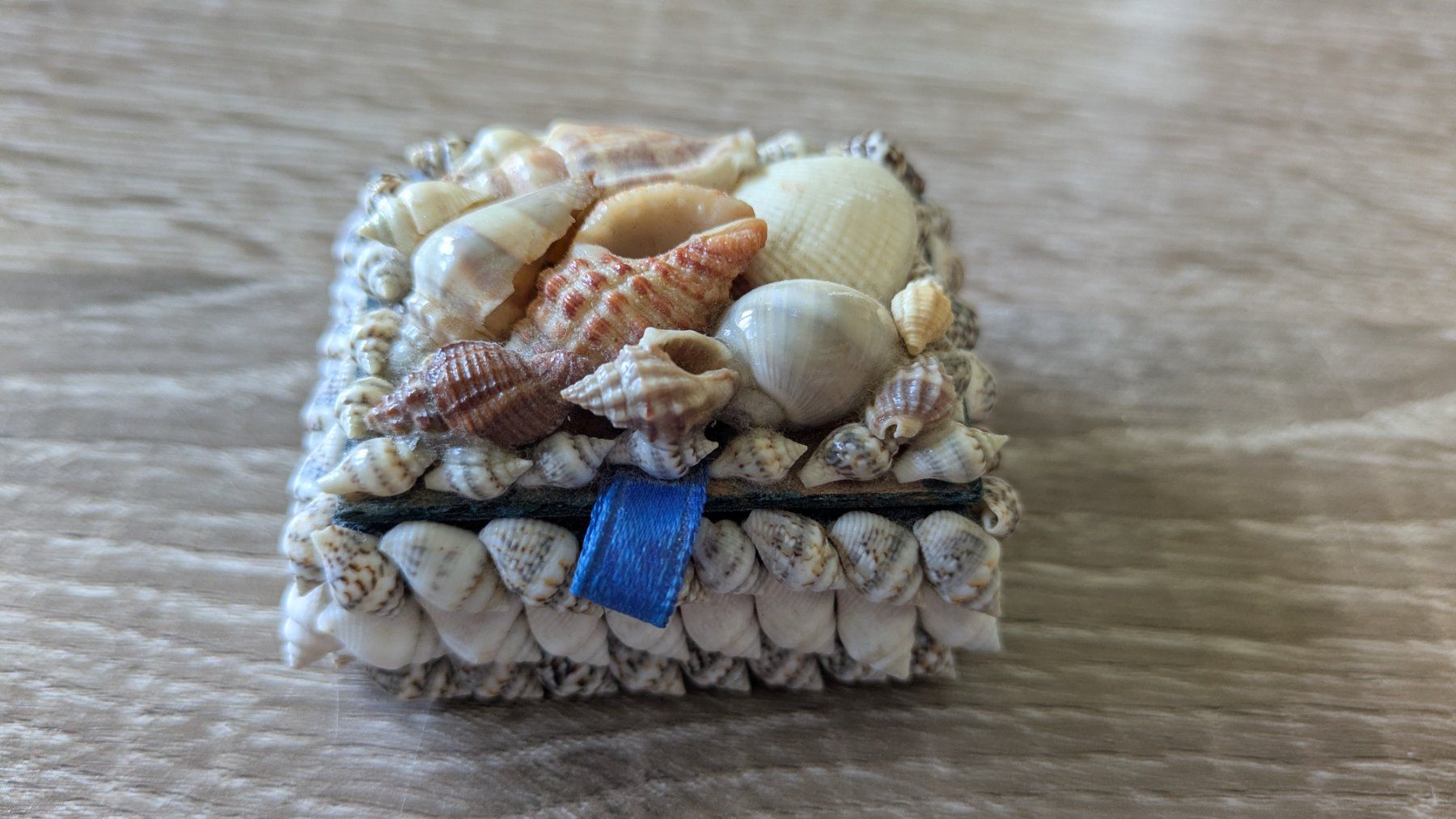 Schmuckkästen: Piccola scatola decorativa con conchiglie e velluto blu – Gebraucht aus Claro von Dona1785