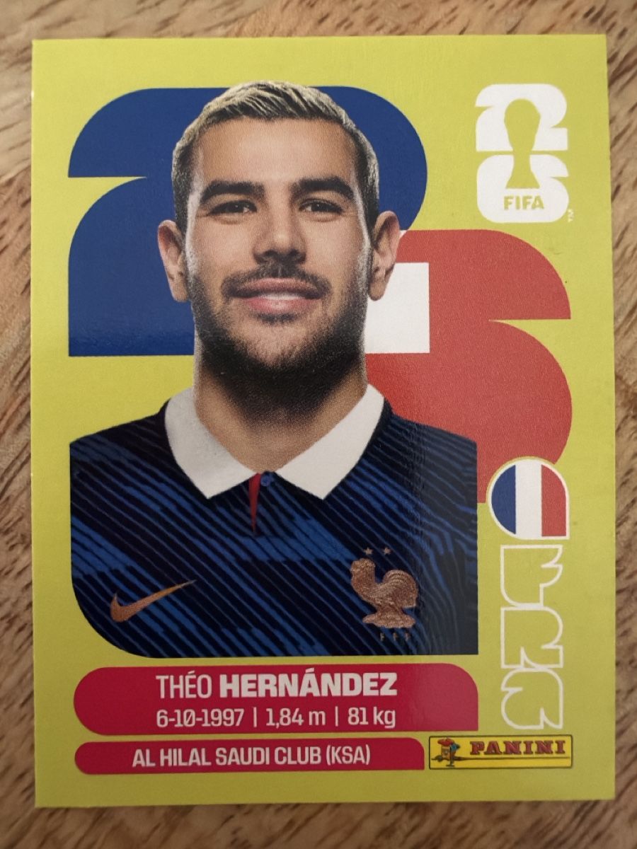 Panini Sammelbilder & Trading cards: Panini FRA 3 – Neu (gemäss Beschreibung) aus Leytron von airlines00