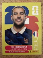 Panini FRA 3