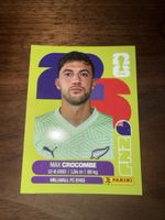 Panini Fifa NZL 2