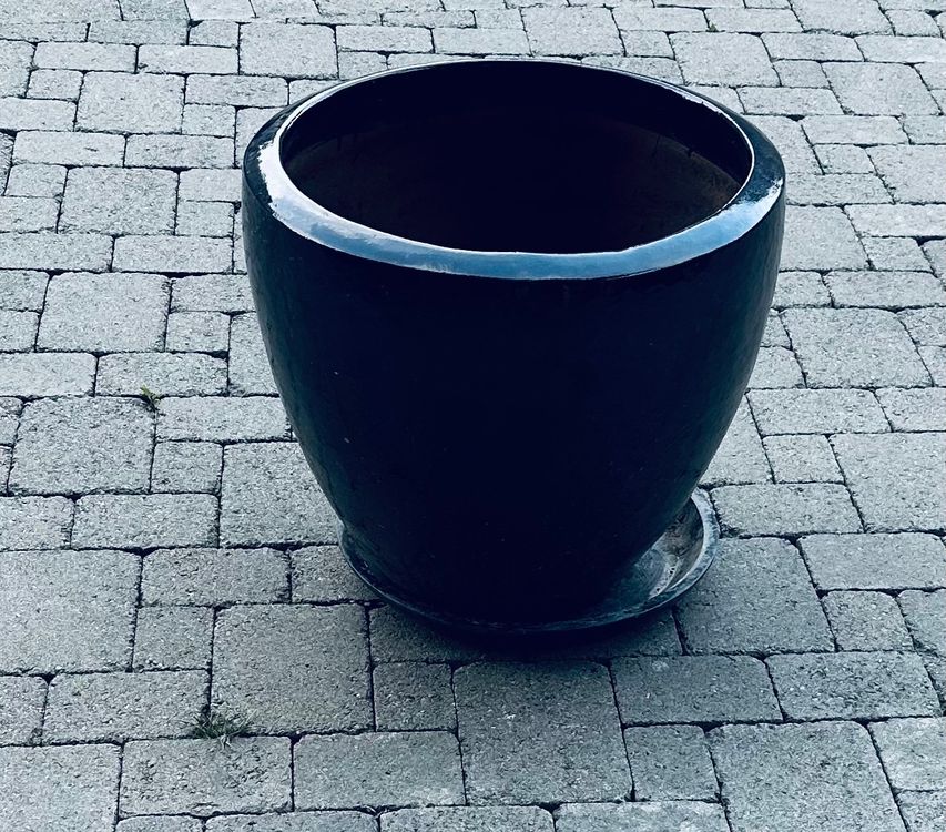 Fabelhafte Bertopf 50cm Durchmesser Bild