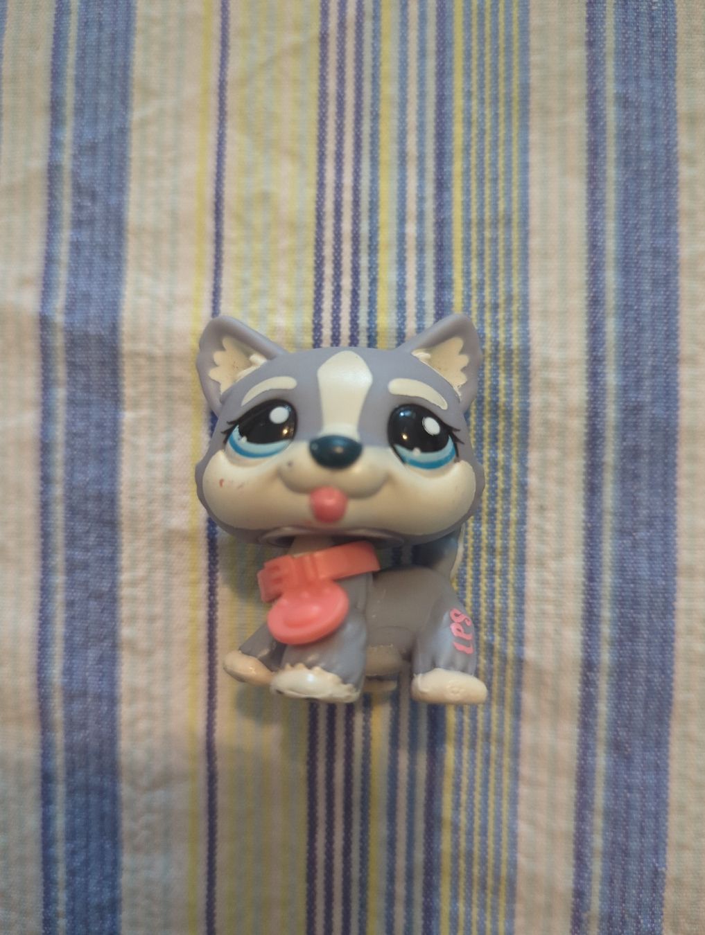 Littlest Pet Shop Giocattoli: littlest pet shop Husky – Usato da Kloten venduto da sop_zxc9