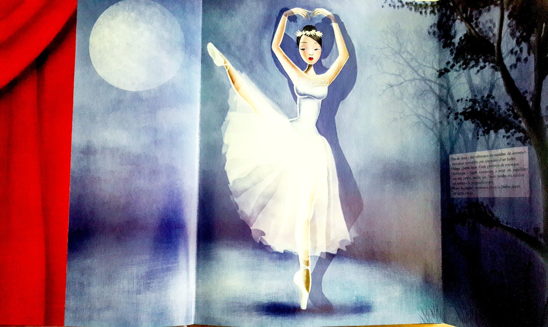 Libri: Danseuses du Monde Sybille Aurélia Hardy Danse folklore – Usato da Tavannes venduto da Nekosumi 1