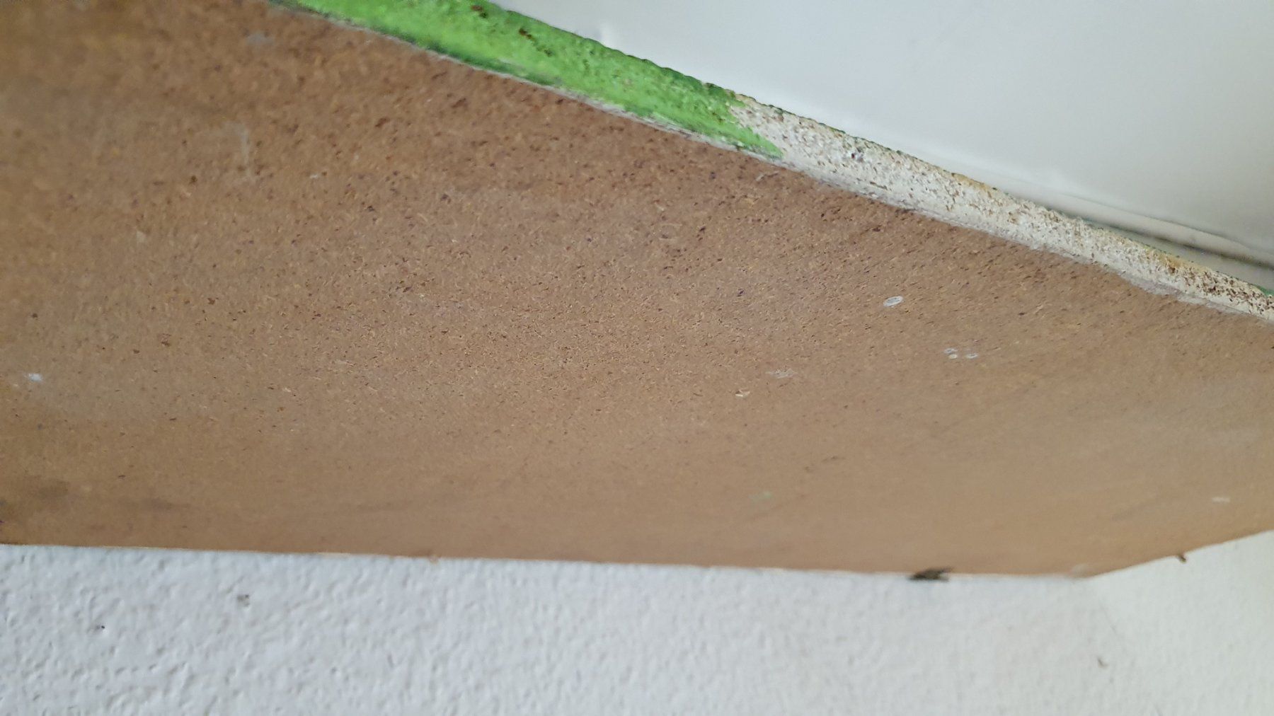 Foto & Immagini: Appenzeller Bild – Usato da Flawil venduto da Naphtali 9
