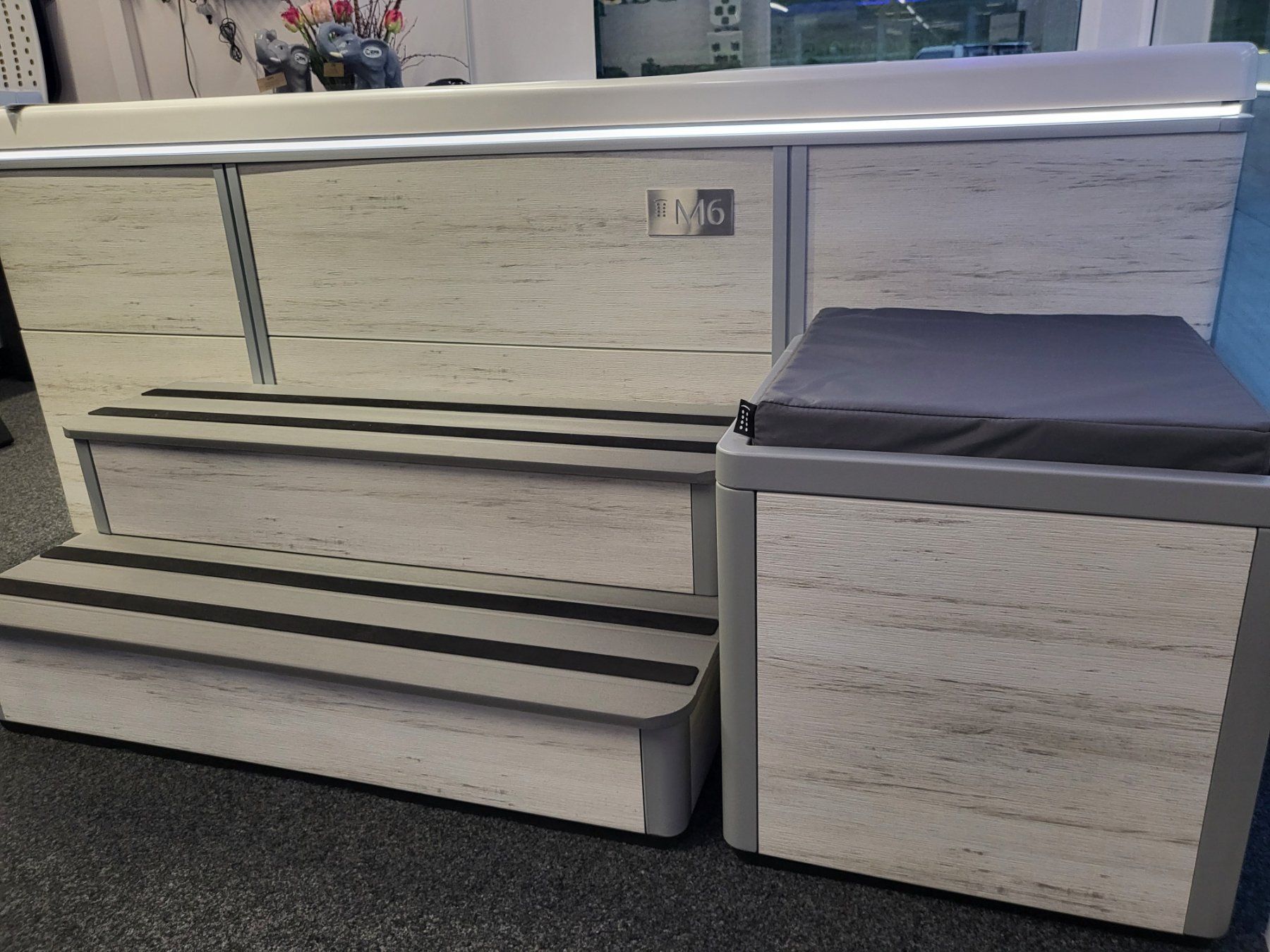Whirlpool: Bullfrog Whirlpool - M-Series M6 – Nuovo (secondo la descrizione) da Oberkirch LU venduto da haustechnikbazar 2