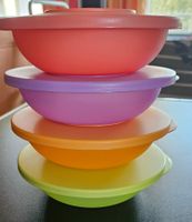 Schüssel Set (4) 400ml