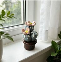 Kaktus Topfpflanze: Keramik/Deko/Geschenk