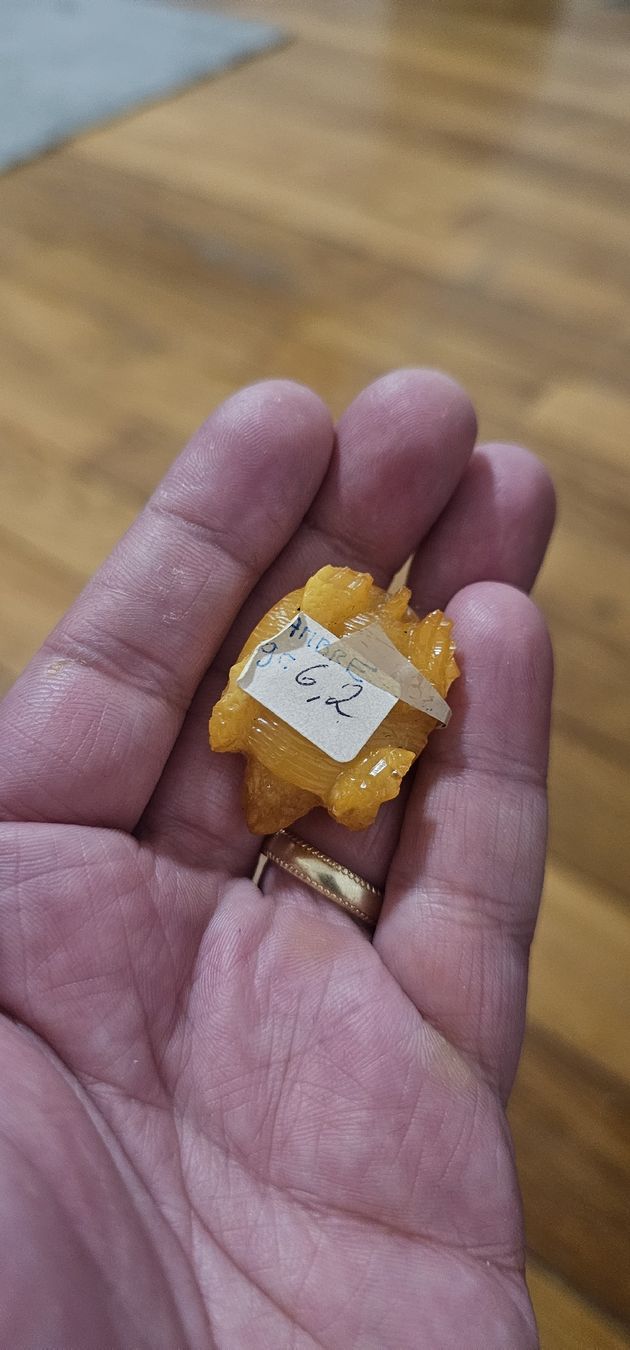 Statuette: bernstein tortue – Nuovo e nell'imballaggio originale da Lausanne venduto da Delaquinta88 2