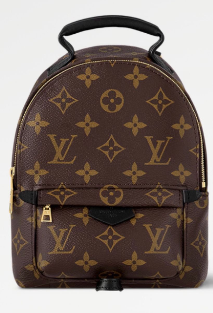 Louis Vuitton Rucksäcke: Louis Vuitton Palm Springs Mini Rucksack – Gebraucht aus Wallisellen von maksim8880