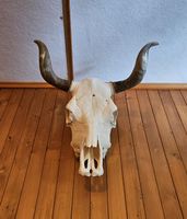 Simmentaler Kuhschädel