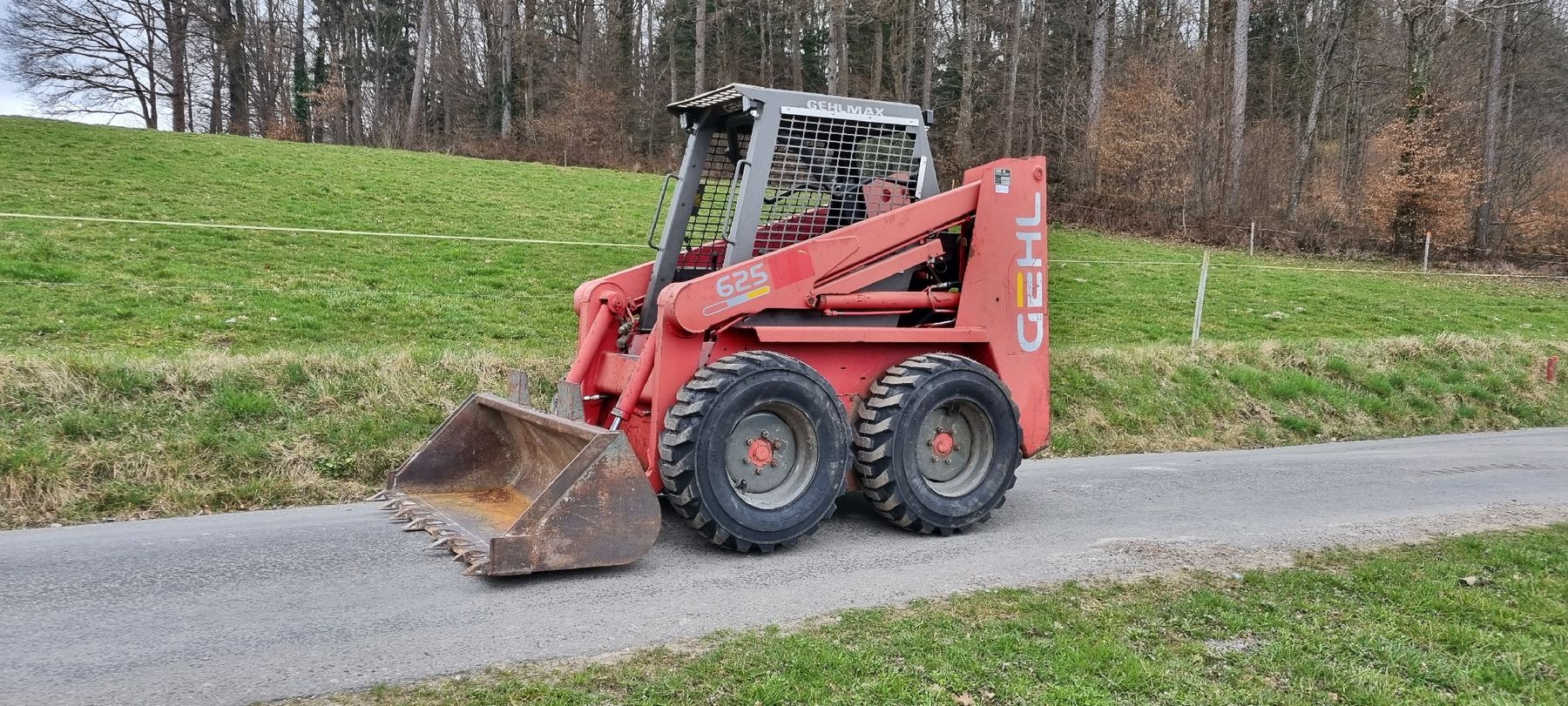 Gehl Caricatori: Gehl 4625 Kompaktlader/ Hoflader – Usato da Kirchlindach venduto da BR3043 3
