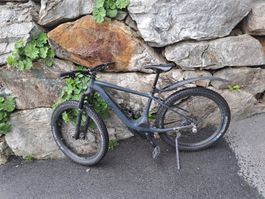 Specialized E-Bike