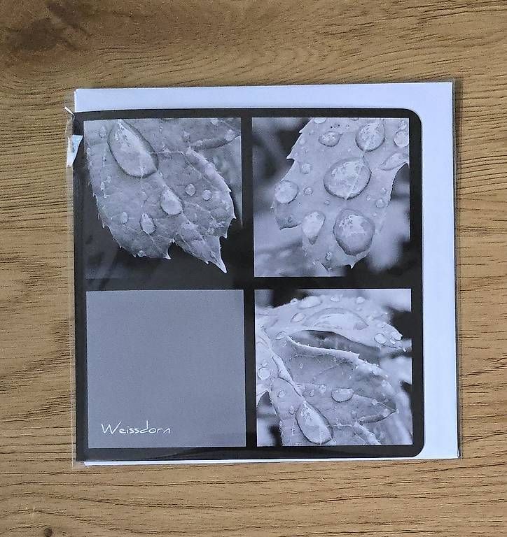 CD: Collagekarte Weissdorn – Nuovo e nell'imballaggio originale da Chur venduto da Frei3912