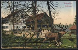 AK Winterthur, Gasthaus Bruderhaus, 1916