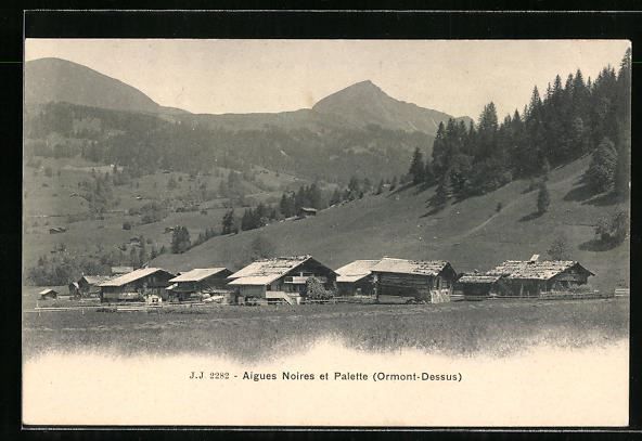 AK OrmontDessus, Aigues Noires, Palette Kaufen auf Ricardo