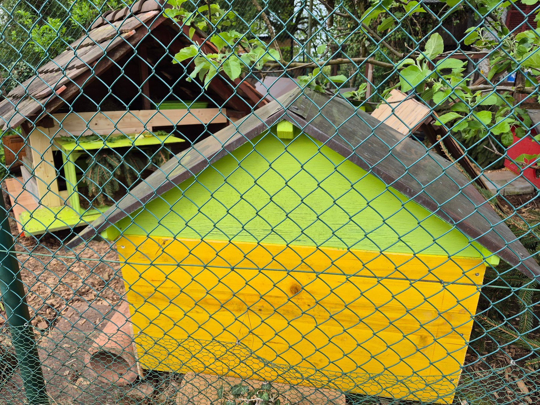 Gabbie, trasporto & Sicurezza: Kupferdach für Tierstall oder sonstigen Schutz – Usato da obfelden venduto da nager02 1