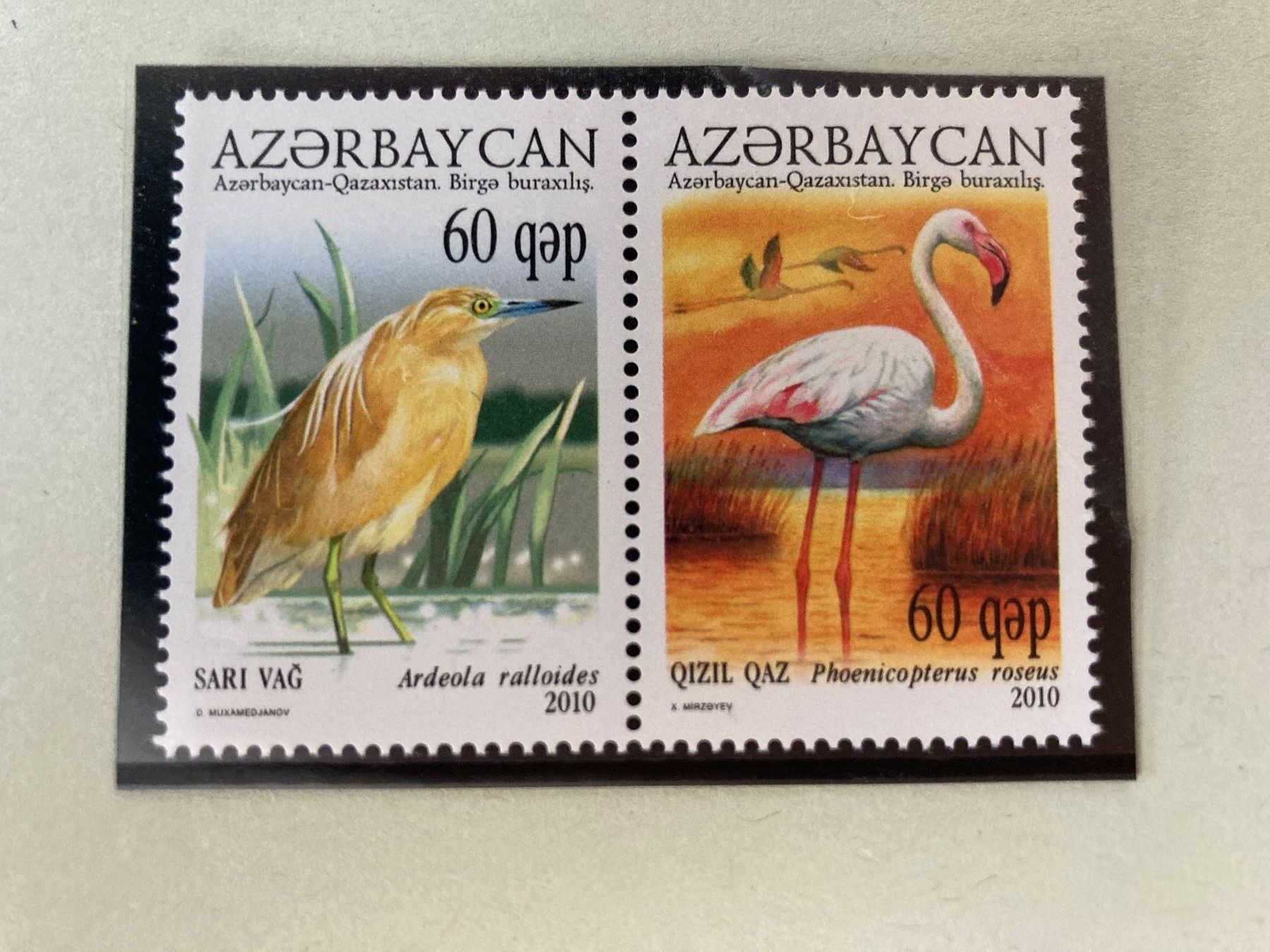 Alle Briefmarken: Aserbaidschan Kazakhstan Joint Issue 2010 VÖGEL ** – Neu (gemäss Beschreibung) aus Erlach von Schaliko