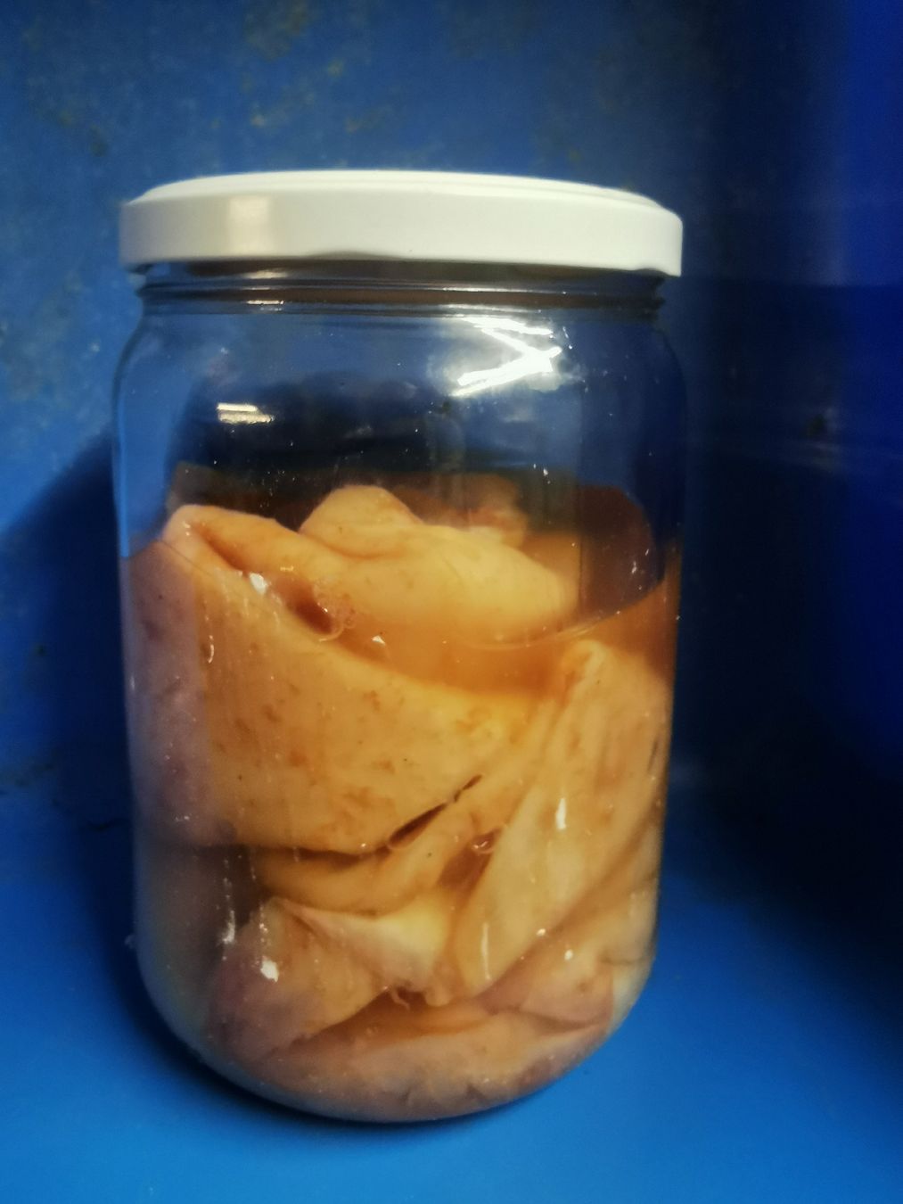 Aliments & Spécialités: Essigmutter – D'occasion à Grüningen par Niggi79