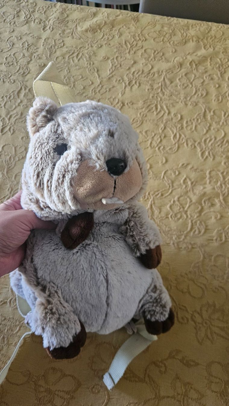 Borse & Zaini: Zainetto castoro peluche – Usato da Melano venduto da H-Sara 1